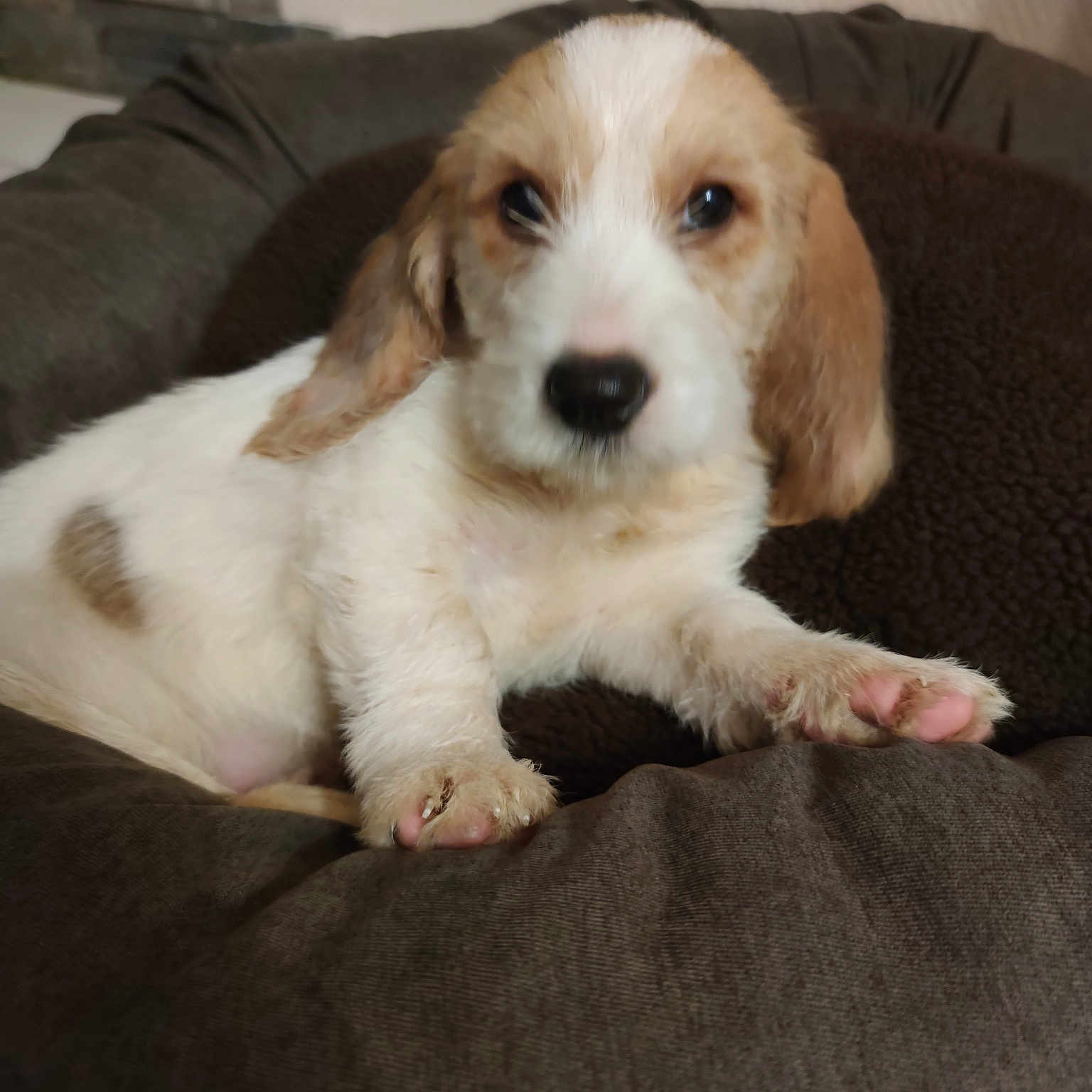 Sam