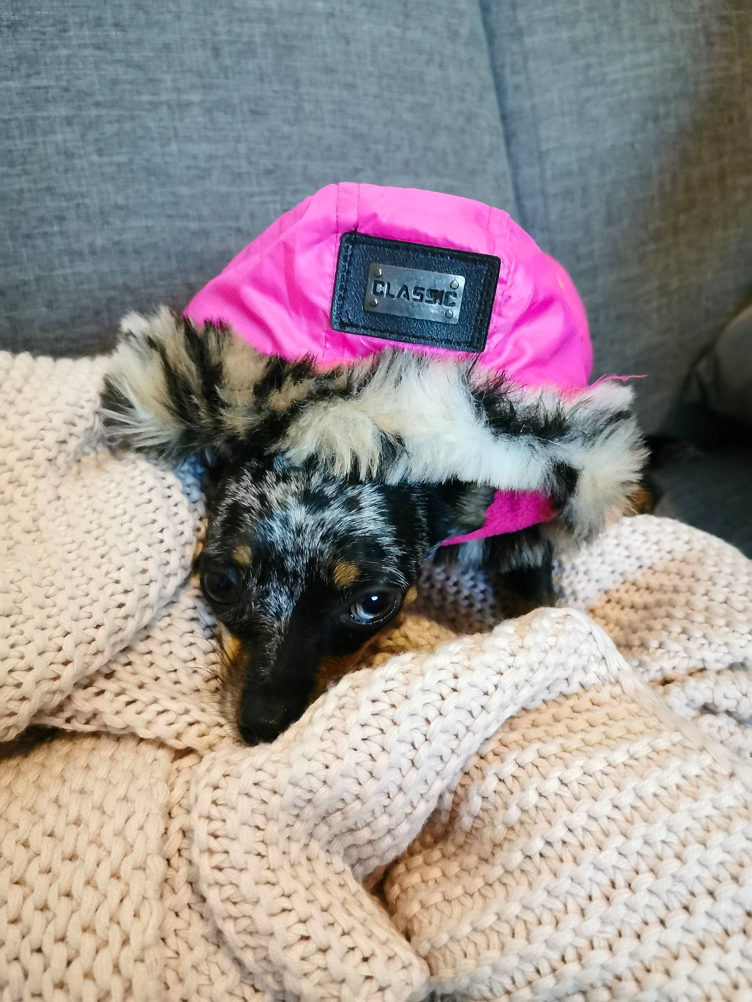 Nena participe au concours pour gagner de l'argent avec cette photo : beanie, canidae, cap, carnivore, companion_dog, crochet, dog, dog_breed, dog_clothes, ear, fur, hat, headgear, pink, puppy