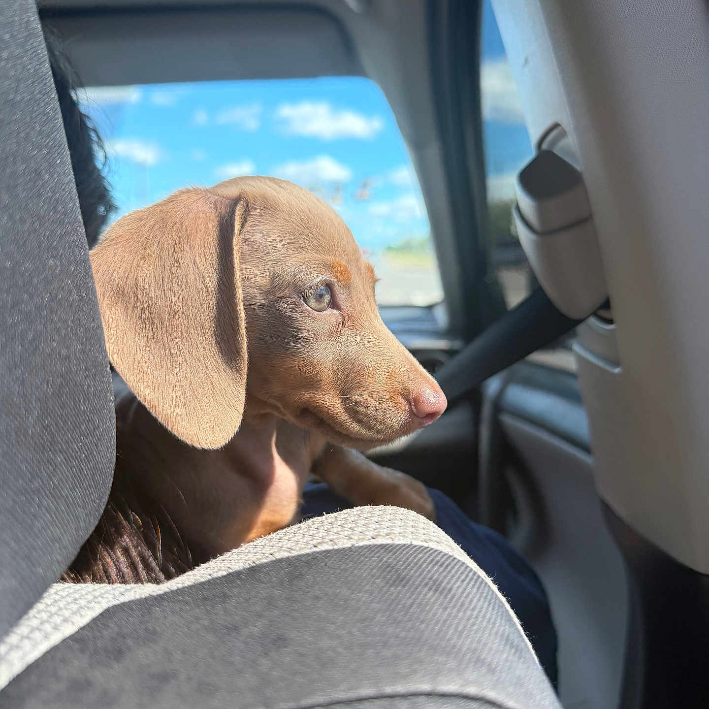 Marley