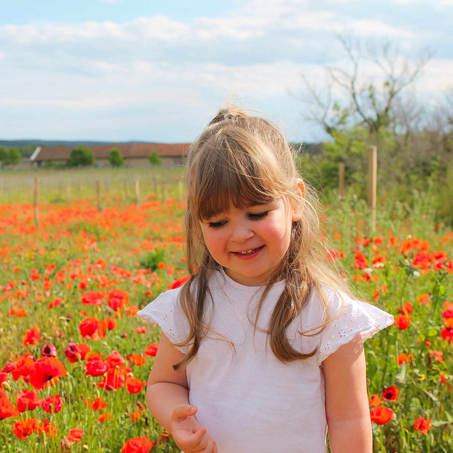 Louise participe au concours pour gagner de l'argent avec cette photo : blossom, child, daytime, flower_field, girl, grass, greenery, happy, nature, outdoor, person, poppies, portrait, rural, scenery, smiling, summer, sunlight, white_shirt, young