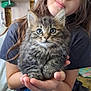 child, kitten, cat, pet, indoor, person, holding, furry, cute, young, animal, soft_toy, casual_clothing, brown_hair, curious, face, hands, seated, cozy, home
