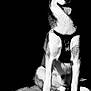 Winter a rejoint le concours — aidez-le/la à gagner de superbes lots ! animal, black_and_white, canine, cobblestone, dog, eyes, face, fur, happy, harness, husky, leash, mischievous, outdoor, paw, pet, portrait, shadow, sitting, tongue_out