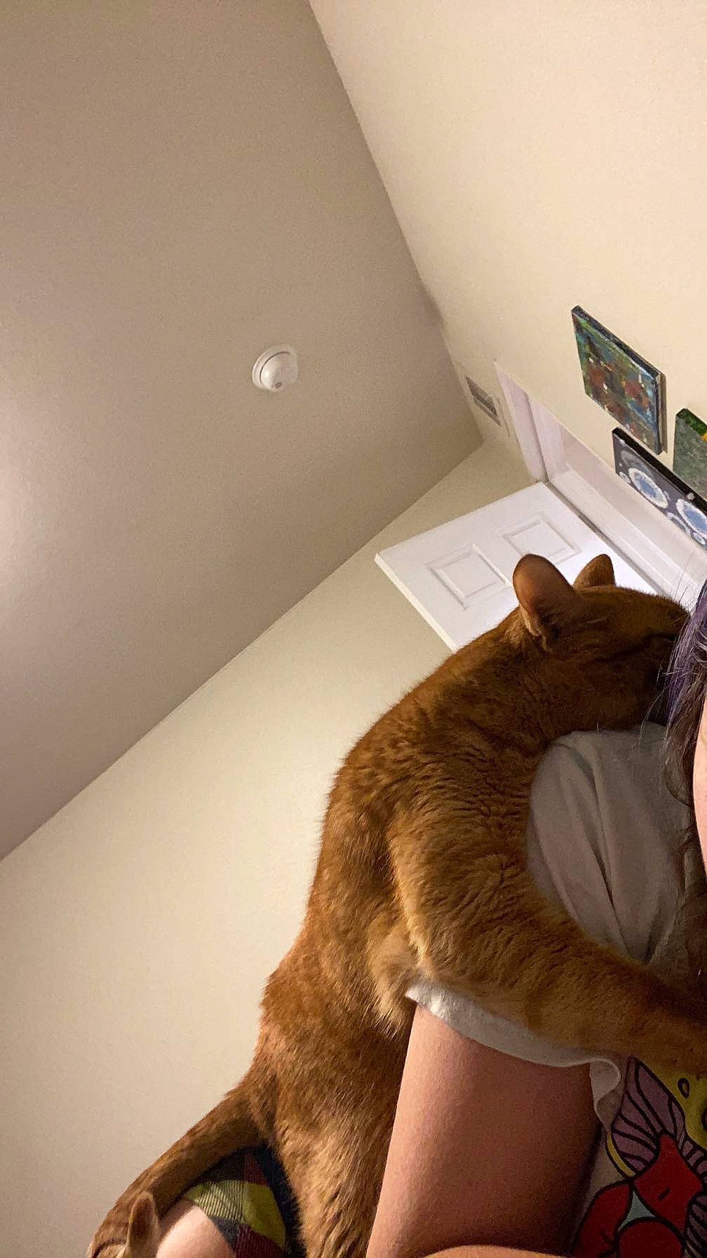 Azul is registered to the contest to win money with this photo: abdomen, bedding, comfort, elbow, eyewear, flooring, foot, fur, gesture, hardwood, human_leg, knee, leg, linens, room, sitting, thigh, trunk, wood, wrist