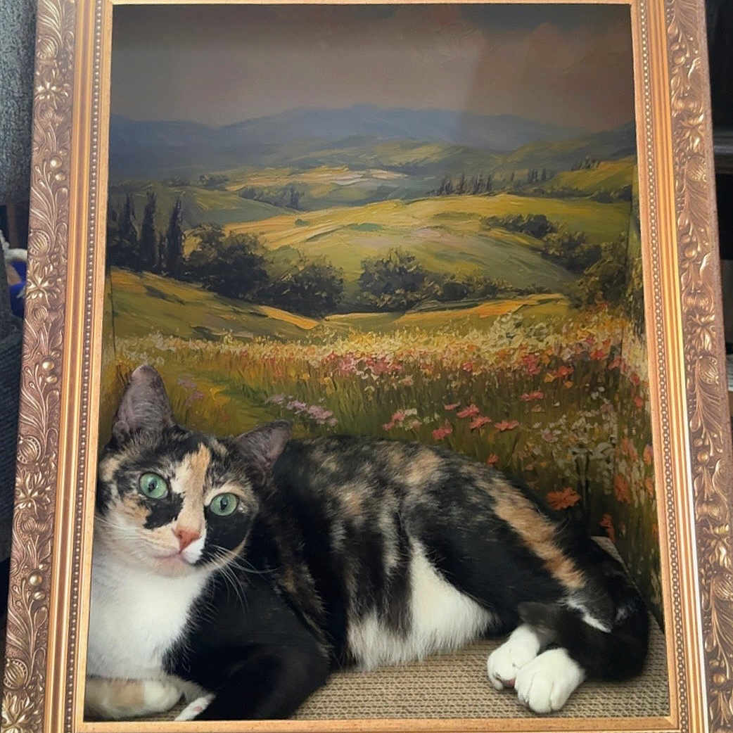 Mango Bronson is registered to the contest to win money with this photo: animal, art, calico, cat, cute, decor, eyes, feline, flower, frame, fur, green, indoor, landscape, nature, painting, paws, portrait, relaxing, whiskers