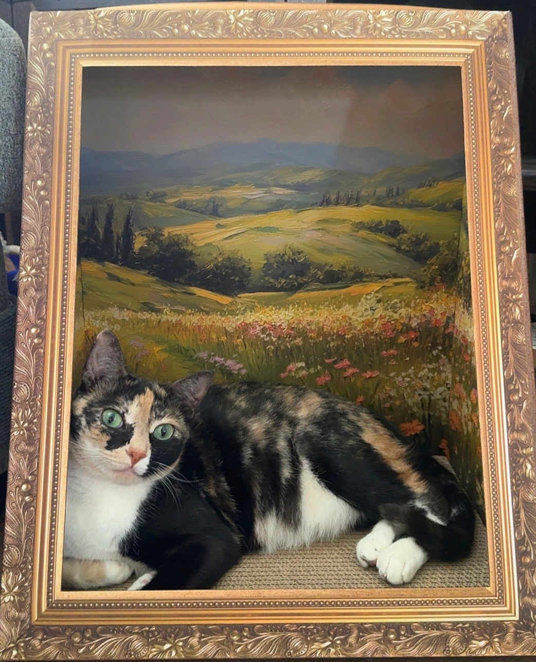 Mango Bronson is registered to the contest to win money with this photo: animal, art, calico, cat, cute, decor, eyes, feline, flower, frame, fur, green, indoor, landscape, nature, painting, paws, portrait, relaxing, whiskers