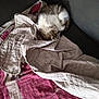 Alvin participe au concours pour gagner de l'argent avec cette photo : cat, sleeping, quilt, blanket, couch, fur, cozy, indoor, resting, pet, tabby, white, curled_up, fabric, textile, home, nap, comfort, furniture, animal
