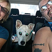 Bandit is registered to the contest to win money with this photo: selfie, car, woman, man, dog, white_dog, smiling, glasses, tattoo, lanyard, seat, window, interior, pet, animal, happy, casual, people, portrait, flash_reflection