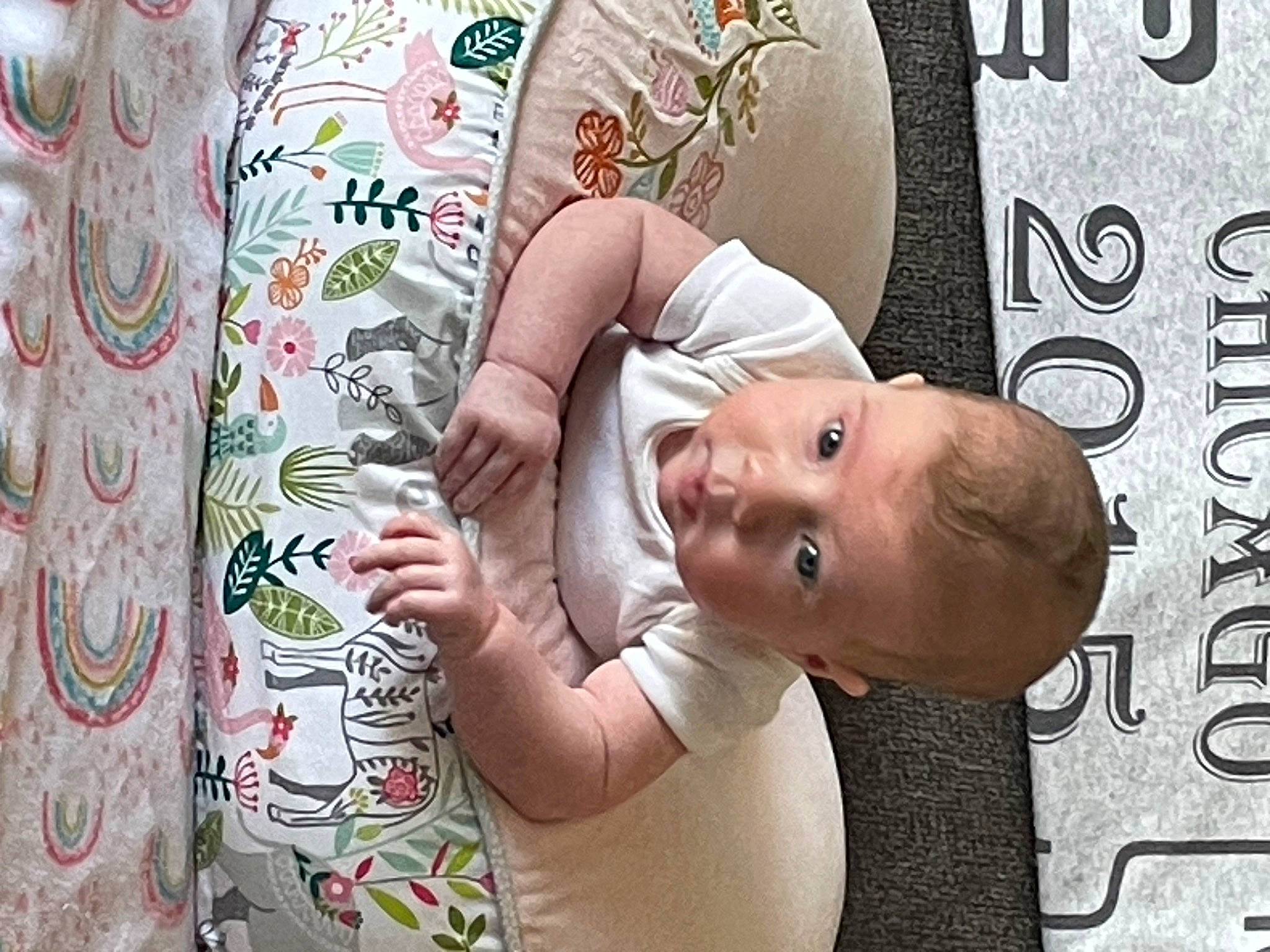 Lexie is registered to the contest to win money with this photo: arm, art, baby, cheek, child, facial_expression, finger, font, hairstyle, happy, human, illustration, pattern, person, pink, product, room, skin, textile, toddler