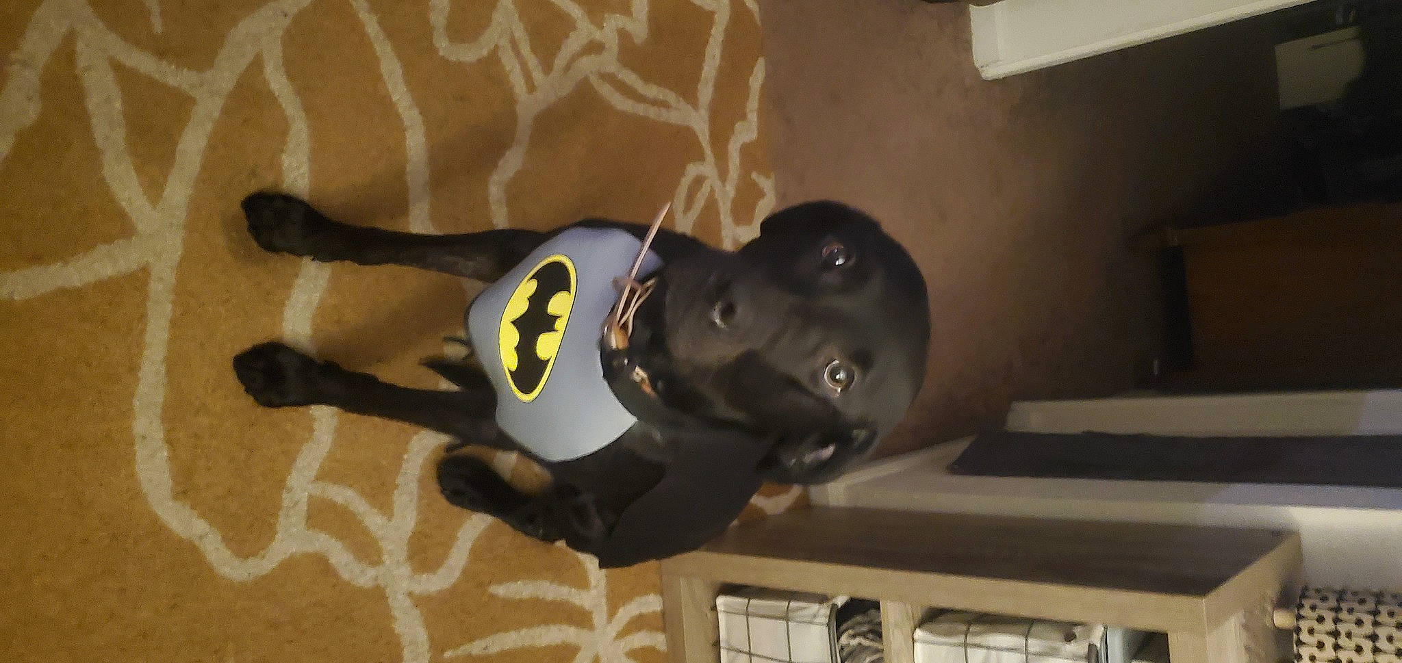 Faith joined the competition — help win amazing prizes! elbow, flooring, personal_protective_equipment, room, sleeve, sportswear, suit, thigh, window