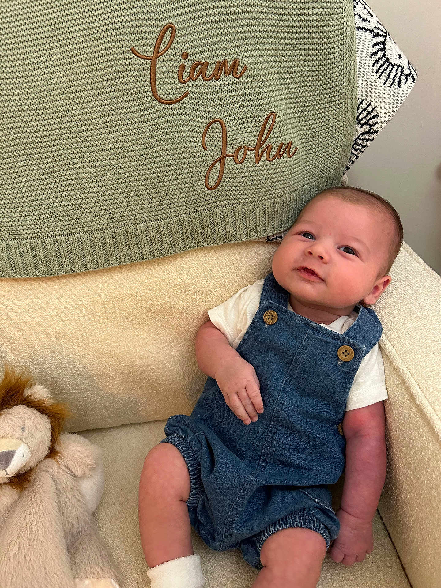 Liam John joined the competition — help win amazing prizes! baby, infant, denim_overalls, white_shirt, plush_toy, lion_plush, knitted_blanket, embroidered_text, cozy_chair, beige_fabric, smiling, cute, child, portrait, indoors, soft_lighting, relaxed, comfortable, young_child, person