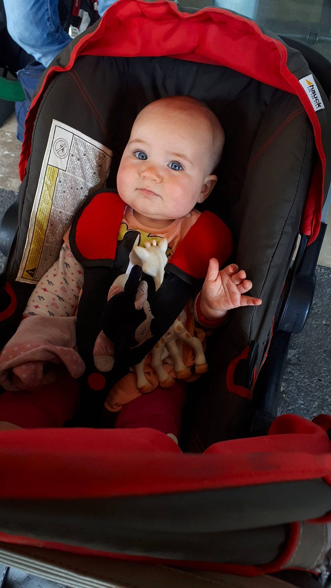 Elena a rejoint le concours — aidez-le/la à gagner de superbes lots ! baby, baby_carriage, baby_products, baby_toys, car_seat, carmine, chair, child, comfort, doll, fun, motor_vehicle, person, product, sitting, suit, toddler, toy, vehicle, vehicle_door