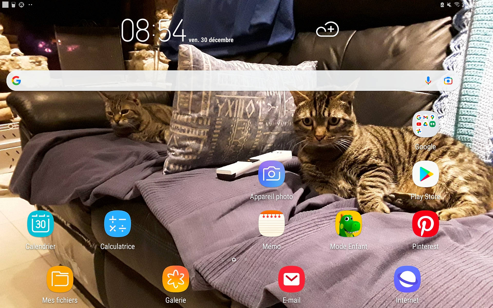 Gribouille participe au concours pour gagner de l'argent avec cette photo : bed, bedding, blanket, brand, carnivore, cat, collage, comfort, domestic_short_haired_cat, electric_blue, felidae, font, fur, linens, pattern, photo_caption, room, screenshot, small_to_medium_sized_cats, whiskers