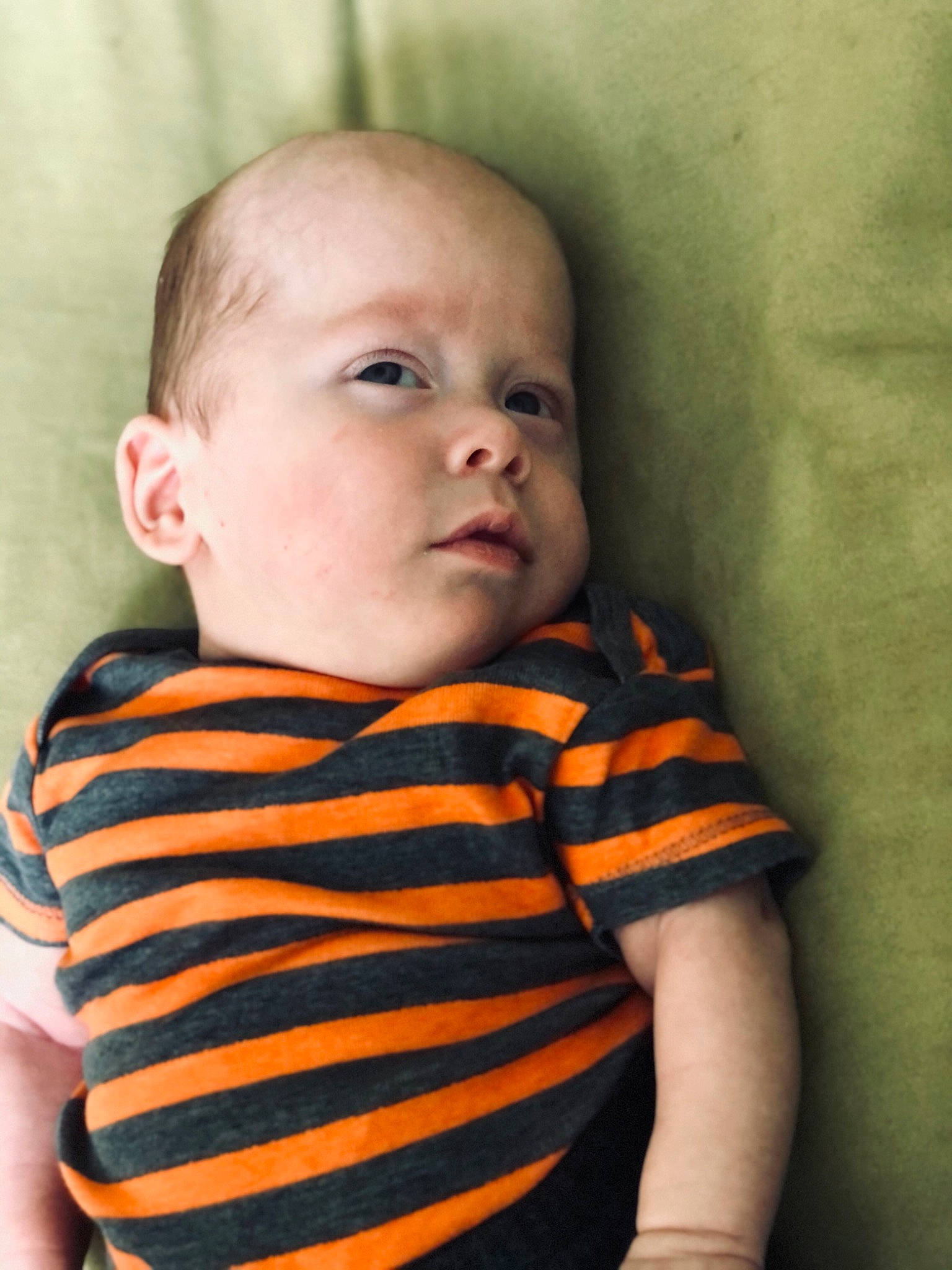 Everett is registered to the contest to win money with this photo: baby, cheek, child, chin, ear, eye, face, head, neck, nose, orange, person, portrait, skin, toddler, yellow