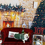 Whiskey is registered to the contest to win money with this photo: dog, corgi, christmas_sweater, couch, red_couch, christmas_tree, holiday_decorations, fireplace, christmas_lights, santa_figure, joy_sign, decorative_pillow, festive, indoor, wood_floor, cozy, smiling_dog, plush, green_sweater, seasonal