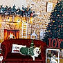 dog, corgi, christmas_sweater, couch, red_couch, christmas_tree, holiday_decorations, fireplace, christmas_lights, santa_figure, joy_sign, decorative_pillow, festive, indoor, wood_floor, cozy, smiling_dog, plush, green_sweater, seasonal