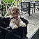 Lucy