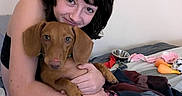 Teddy James is registered to the contest to win money with this photo: woman, person, puppy, dog, brown_dog, pet, cuddling, hugging, sitting, bed, blanket, plaid, toy, squeaky_toy, dog_bowl, indoor, bedroom, portrait, happy, animal