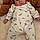 Aylan
