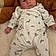 Aylan