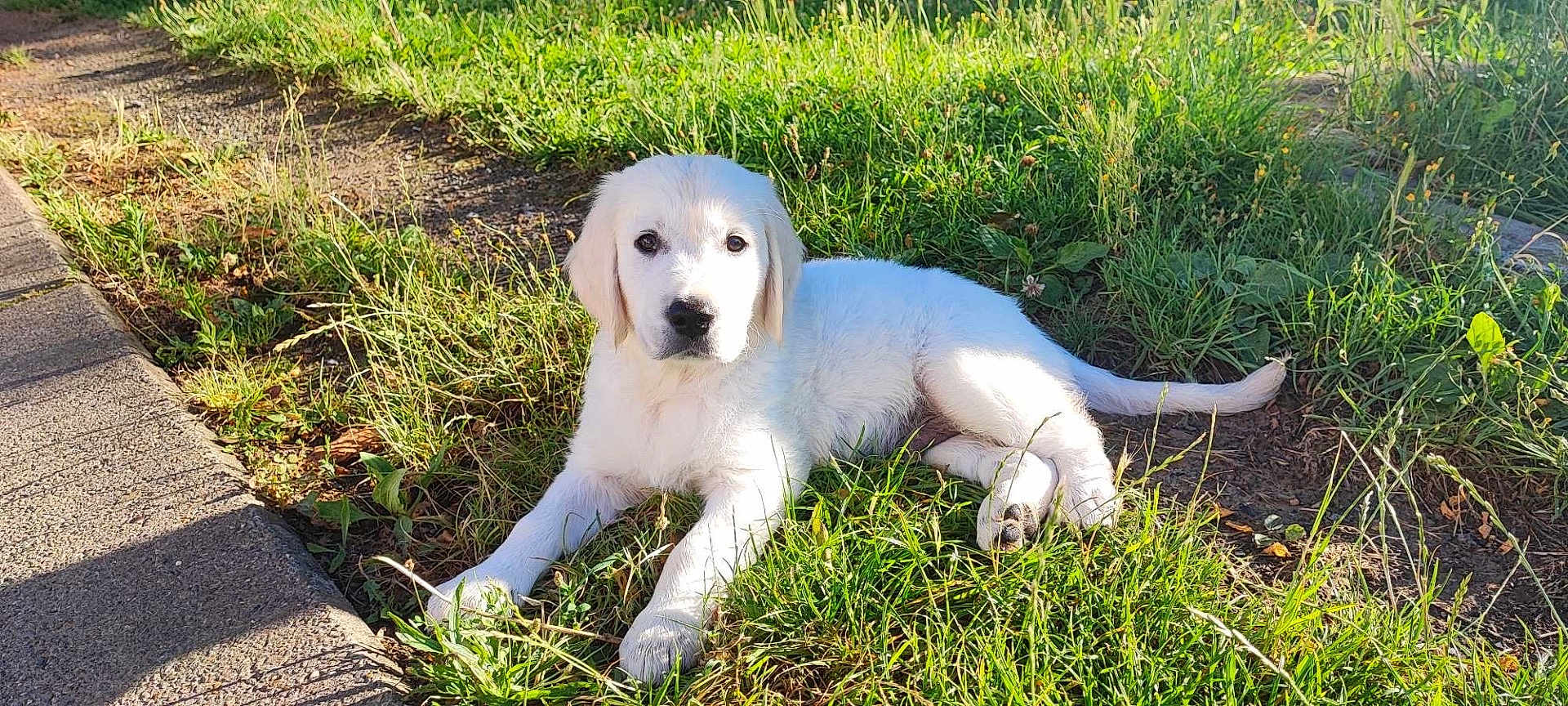 Doug