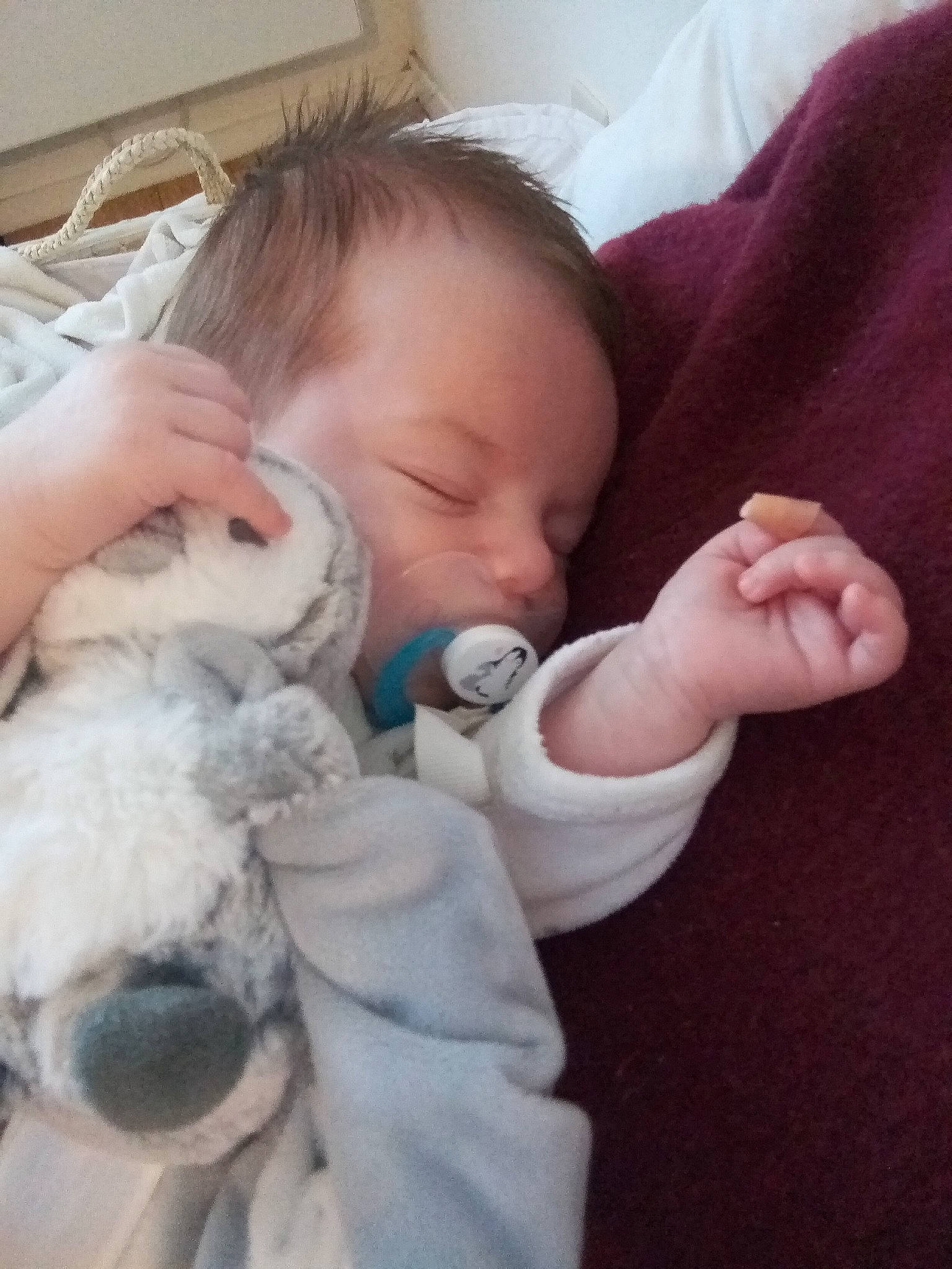 Livia participe au concours pour gagner de l'argent avec cette photo : baby, baby_sleeping, bedtime, birth, cheek, child, finger, hand, nap, nose, person, product, skin, sleep, smile, thumb, toddler