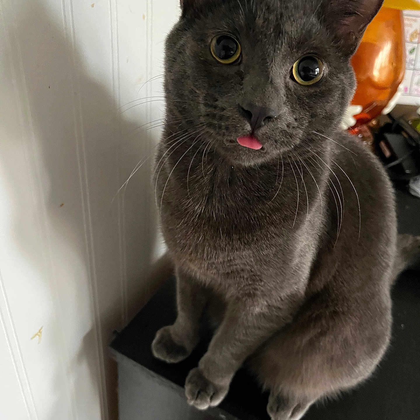 Smudge
