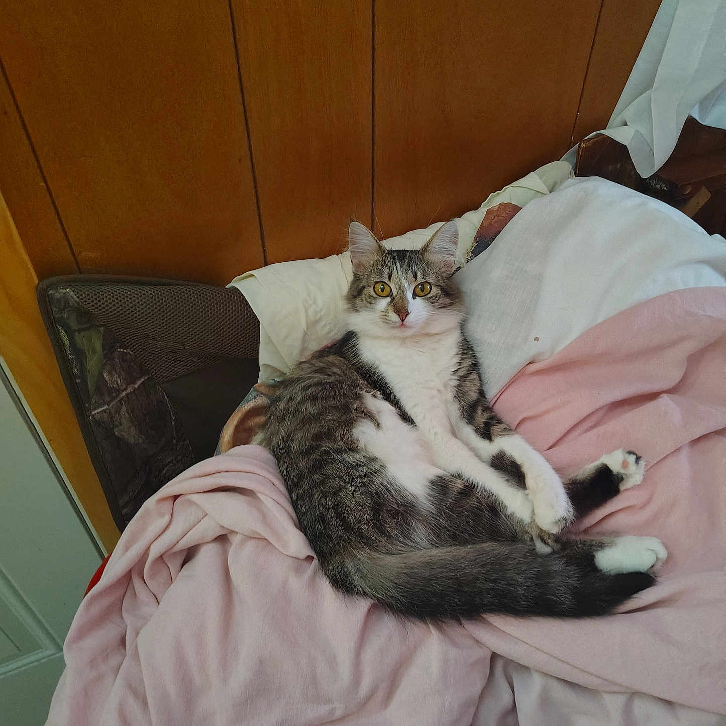 Greta