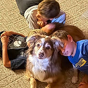 Sky joined the competition — help win amazing prizes! brown_dog, carpet, casual_clothing, child, cute, dog, family, friends, friendship, happy, home, indoor, lying_down, pet, playing, relaxed, shorts, smiling, tshirt, white_fur