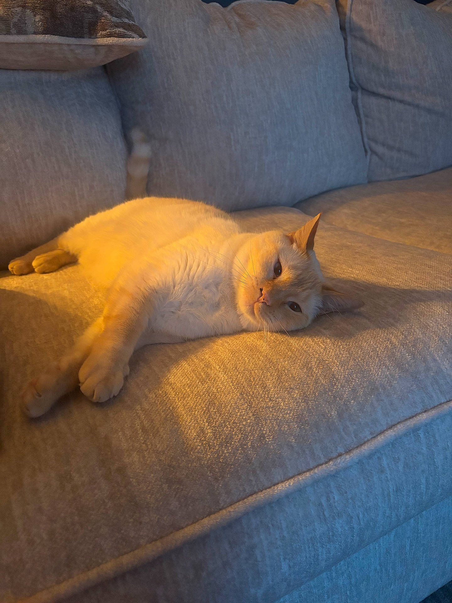 Leo