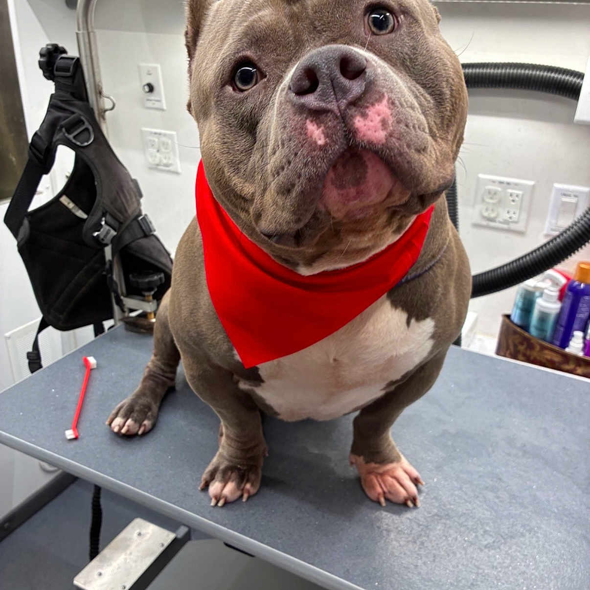 Romeo