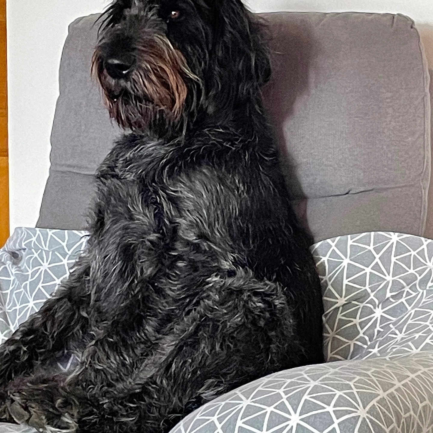 Sam