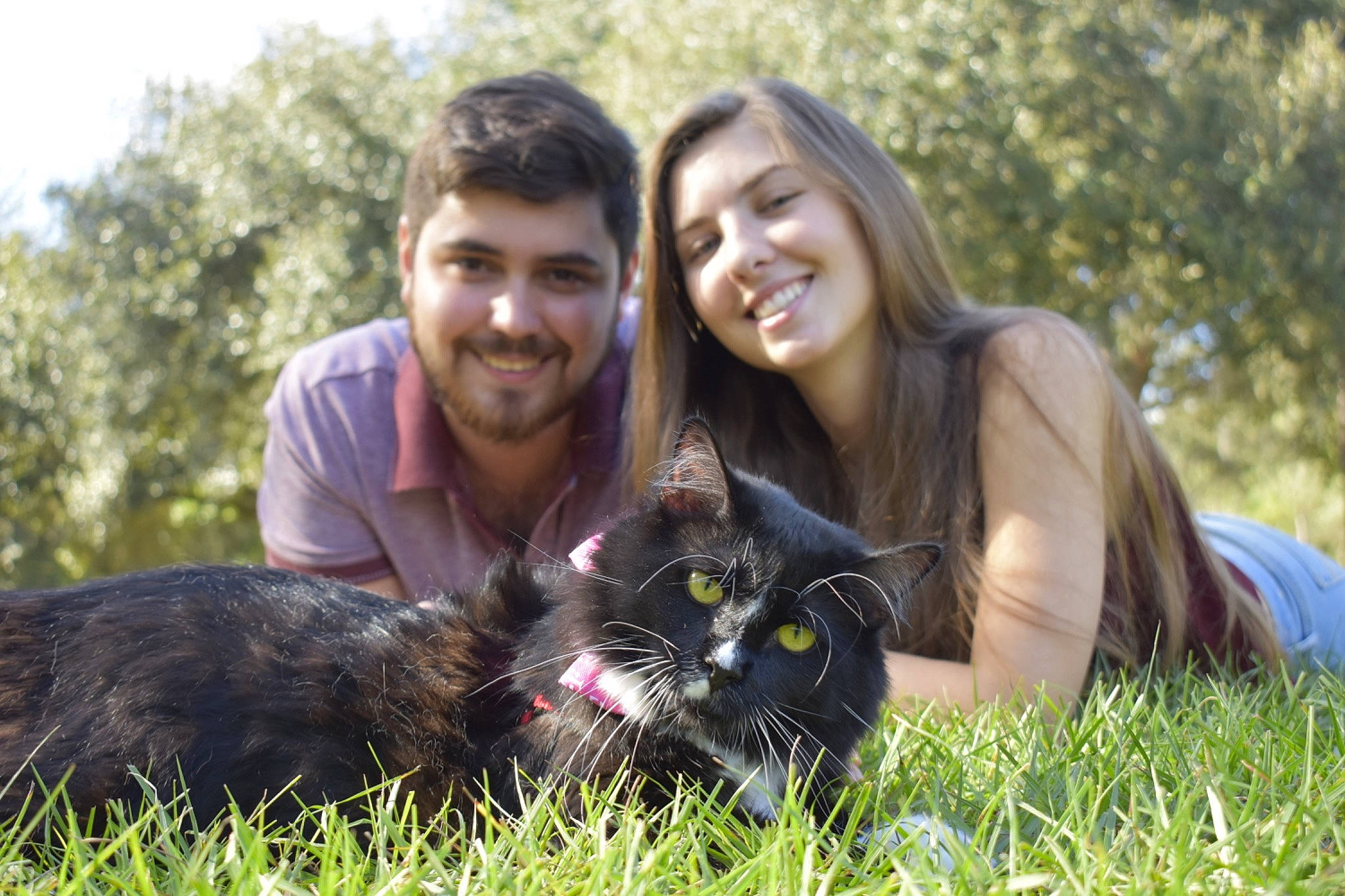 Jayjay joined the competition — help win amazing prizes! carnivore, cat, eye, facial_expression, felidae, friendship, fur, grass, happy, laugh, lawn, long_hair, love, photography, plant, small_to_medium_sized_cats, smile, whiskers