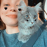 Bella is registered to the contest to win money with this photo: person, cat, kitten, selfie, car, seatbelt, striped_shirt, freckles, heart_sticker, closeup, cute, pet, companion, indoors, sunlight, animal, feline, whiskers, smile, young