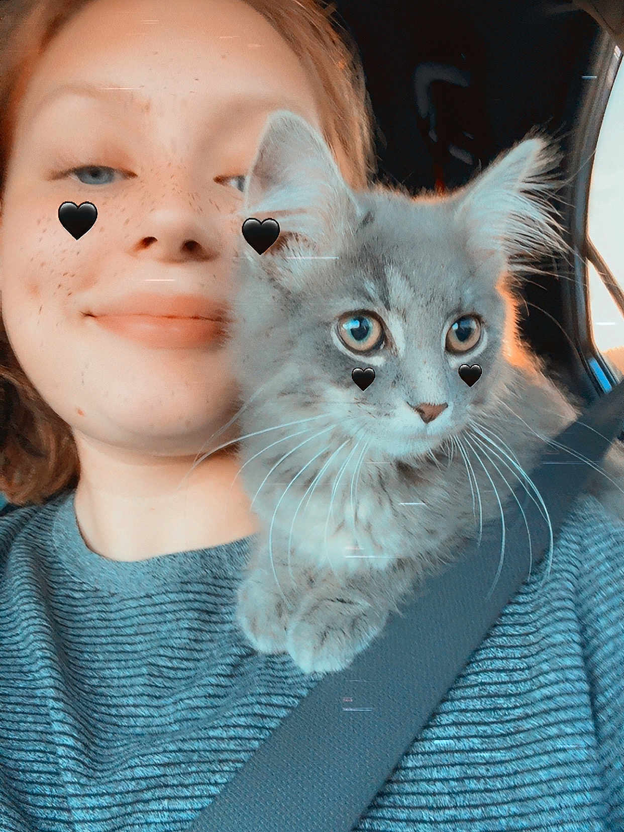 Bella is registered to the contest to win money with this photo: person, cat, kitten, selfie, car, seatbelt, striped_shirt, freckles, heart_sticker, closeup, cute, pet, companion, indoors, sunlight, animal, feline, whiskers, smile, young