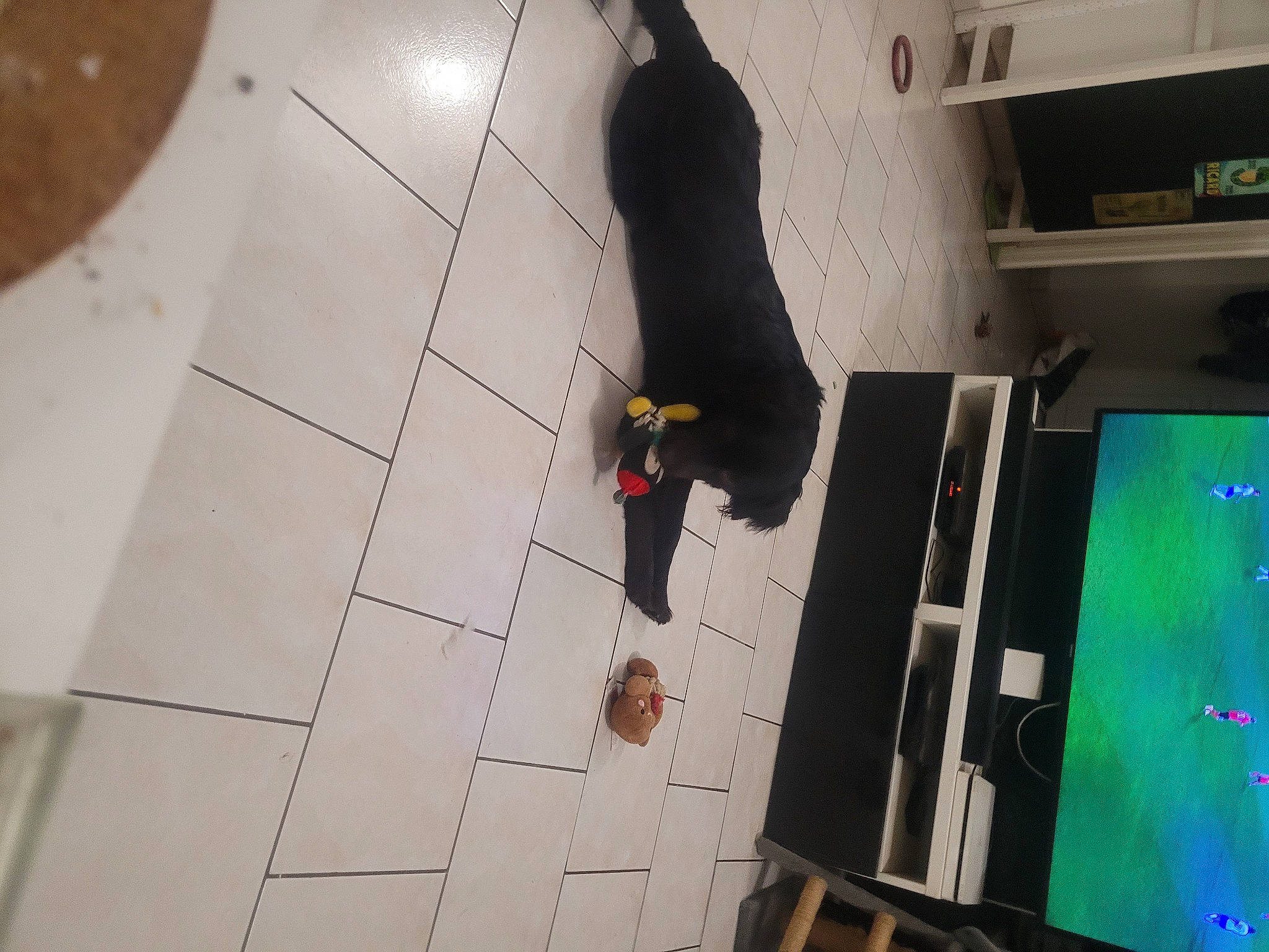 Tequila participe au concours pour gagner de l'argent avec cette photo : adventure, art, ceiling, concrete, design, display_device, floor, flooring, fun, hardwood, leisure, machine, recreation, room, shadow, space, tile, visual_arts, wall, wood