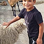 child, boy, sheep, goat, duck, goose, petting_zoo, animal, outdoor, fence, grass, smiling, black_shirt, black_pants, sneakers, curly_wool, happy, farm, nature, daytime