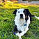 Murphy