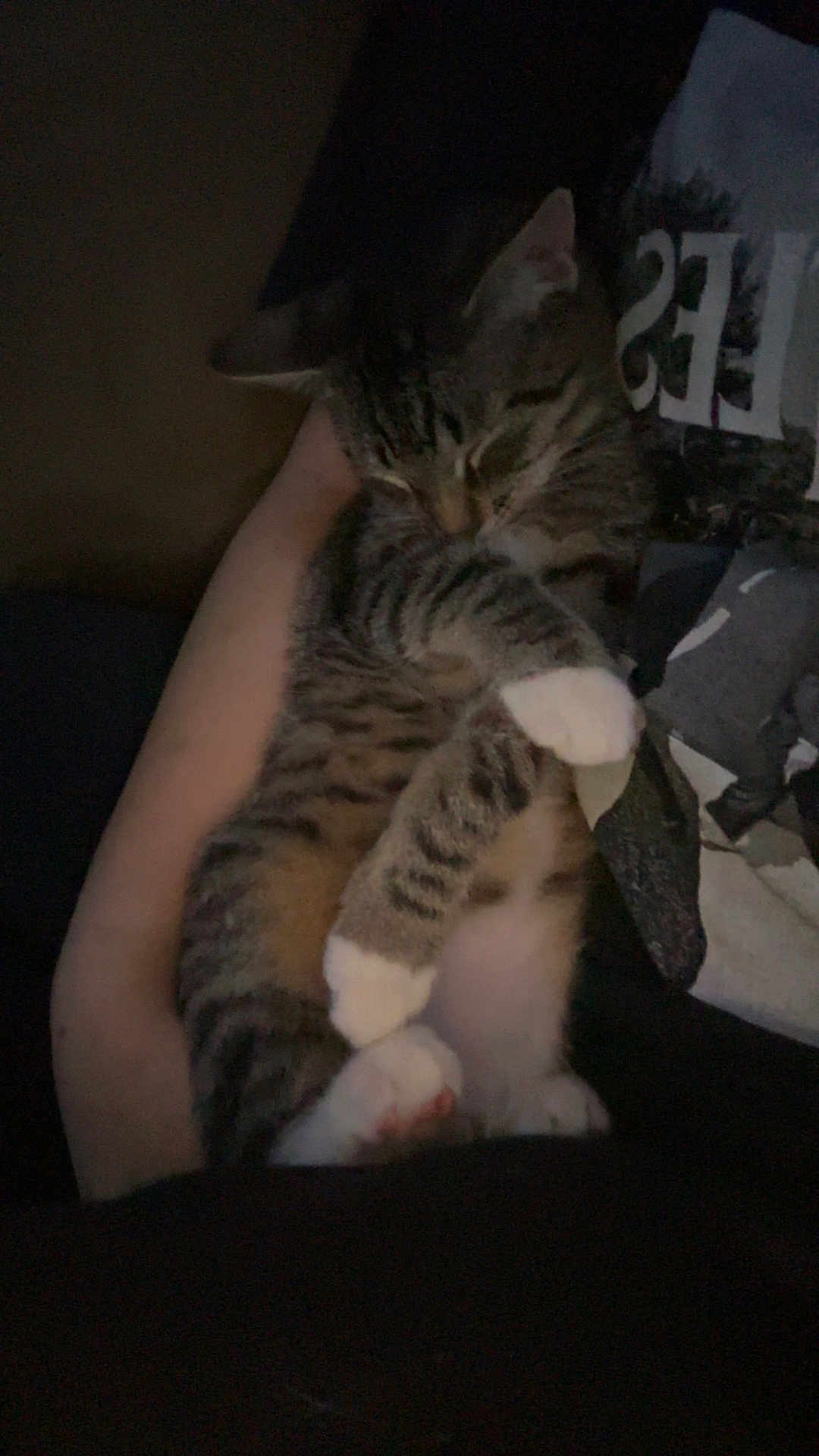 Tuna is registered to the contest to win money with this photo: cat, tabby, sleeping, white_paws, arms, human, cozy, pet, animal, indoor, resting, cute, feline, comfort, dark, relaxed, snuggle, soft, warm, companion