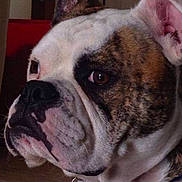 Beau is registered to the contest to win money with this photo: