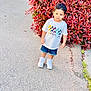 child, boy, tshirt, mickey_mouse, shorts, sneakers, pavement, sidewalk, bush, red_leaves, outdoor, curious, casual_clothing, standing, daylight, nature, plant, footwear, young, person