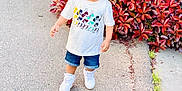 Gursahib Singh is registered to the contest to win money with this photo: toddler, child, boy, white_shirt, mickey_mouse, denim_shorts, white_sneakers, sidewalk, red_leaves, bush, outdoor, daylight, curious, walking, casual_clothing, nature, greenery, young_child, person, cute