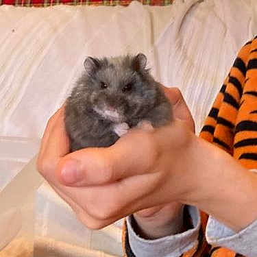 Stormy