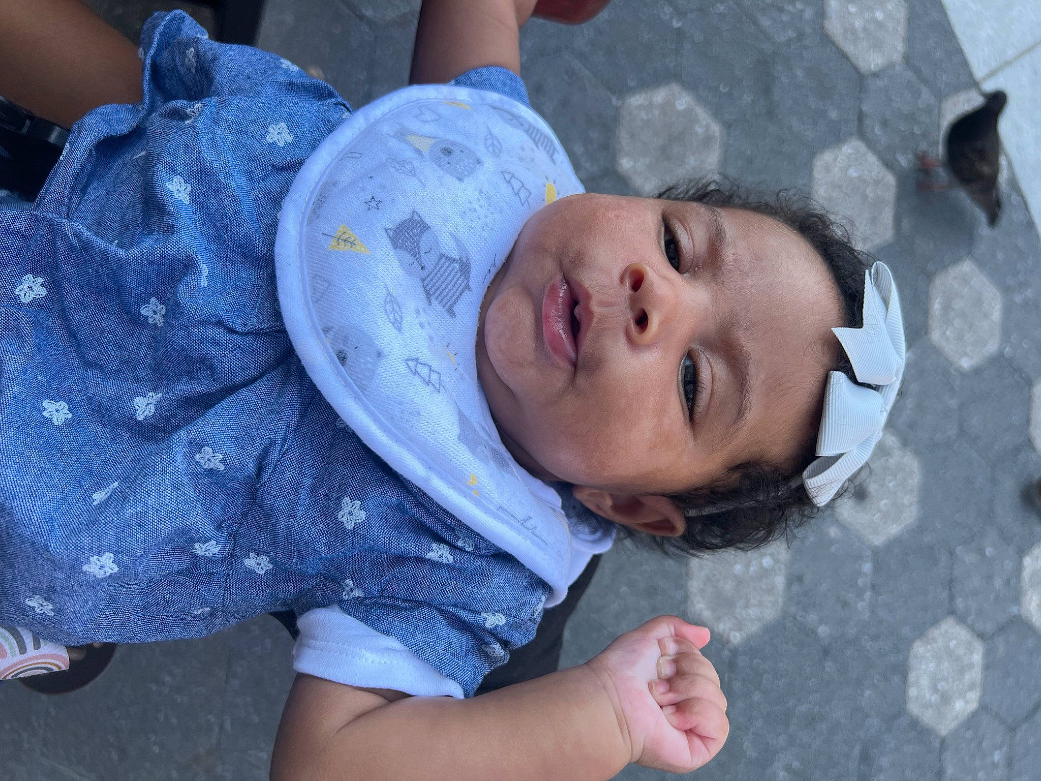 Kori is registered to the contest to win money with this photo: baby, baby_toddler_clothing, cheek, child, eyelash, fun, grass, happy, lip, mouth, nose, pattern, person, plant, portrait_photography, sitting, skin, toddler, tree, winter