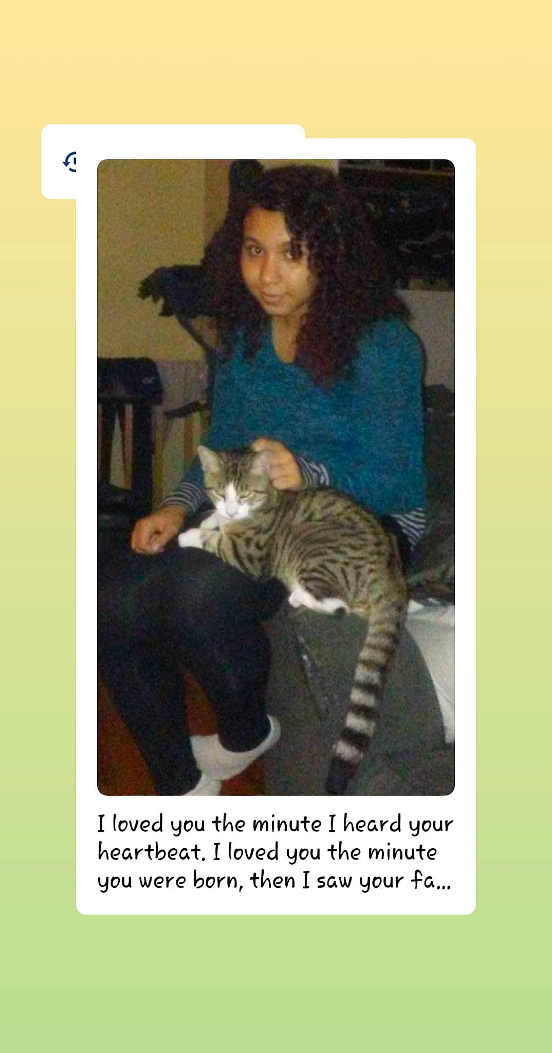 Lil Boy / Silver Cause I Trapped is registered to the contest to win money with this photo: carnivore, cat, european_shorthair, felidae, kitten, photo_caption, photography, small_to_medium_sized_cats, tabby_cat