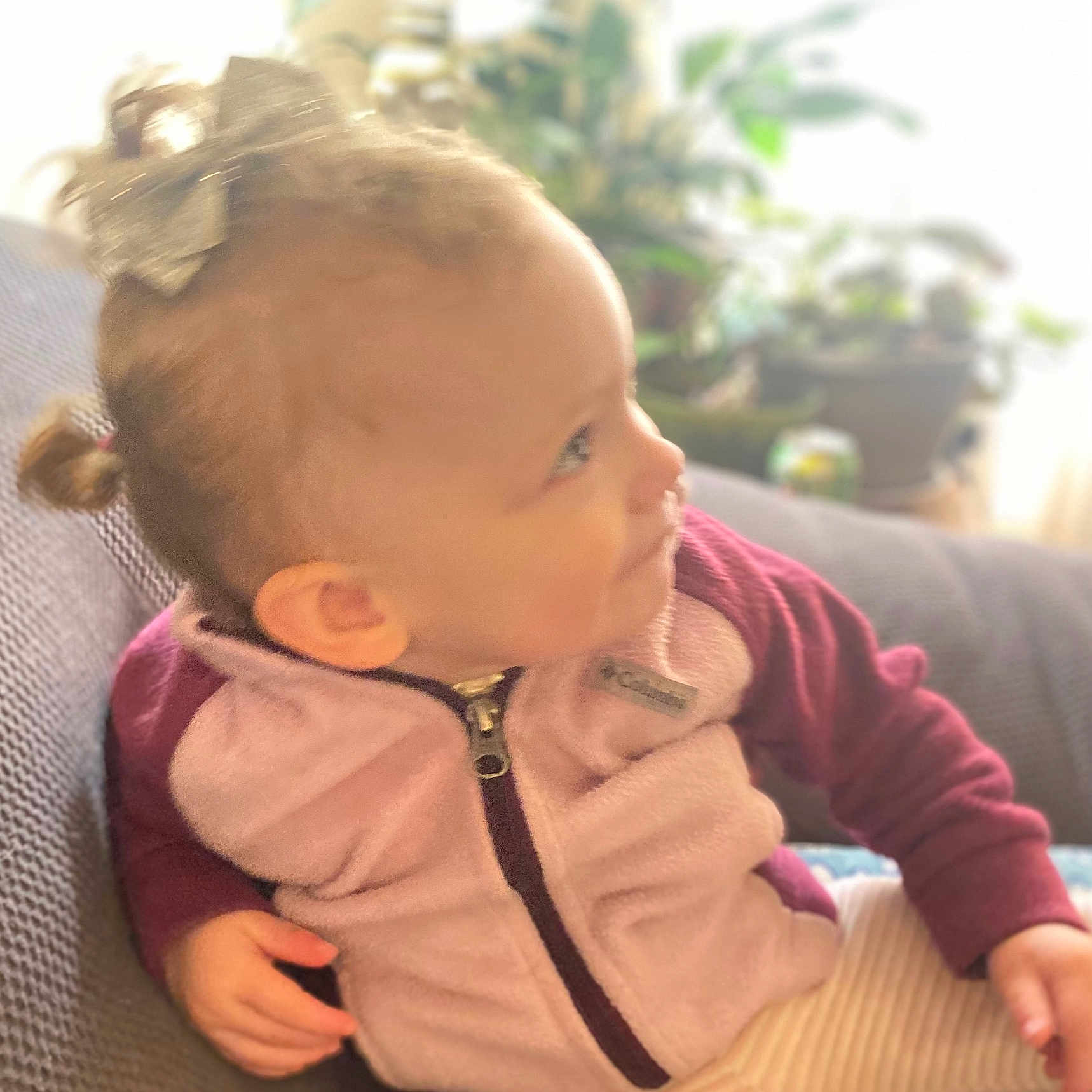 Brailee joined the competition — help win amazing prizes! accessories, baby, clothing, coat, couch, cushion, face, furniture, hair, happy, head, homedecor, jacket, pants, person, photography, plant, portrait, pottedplant, sitting