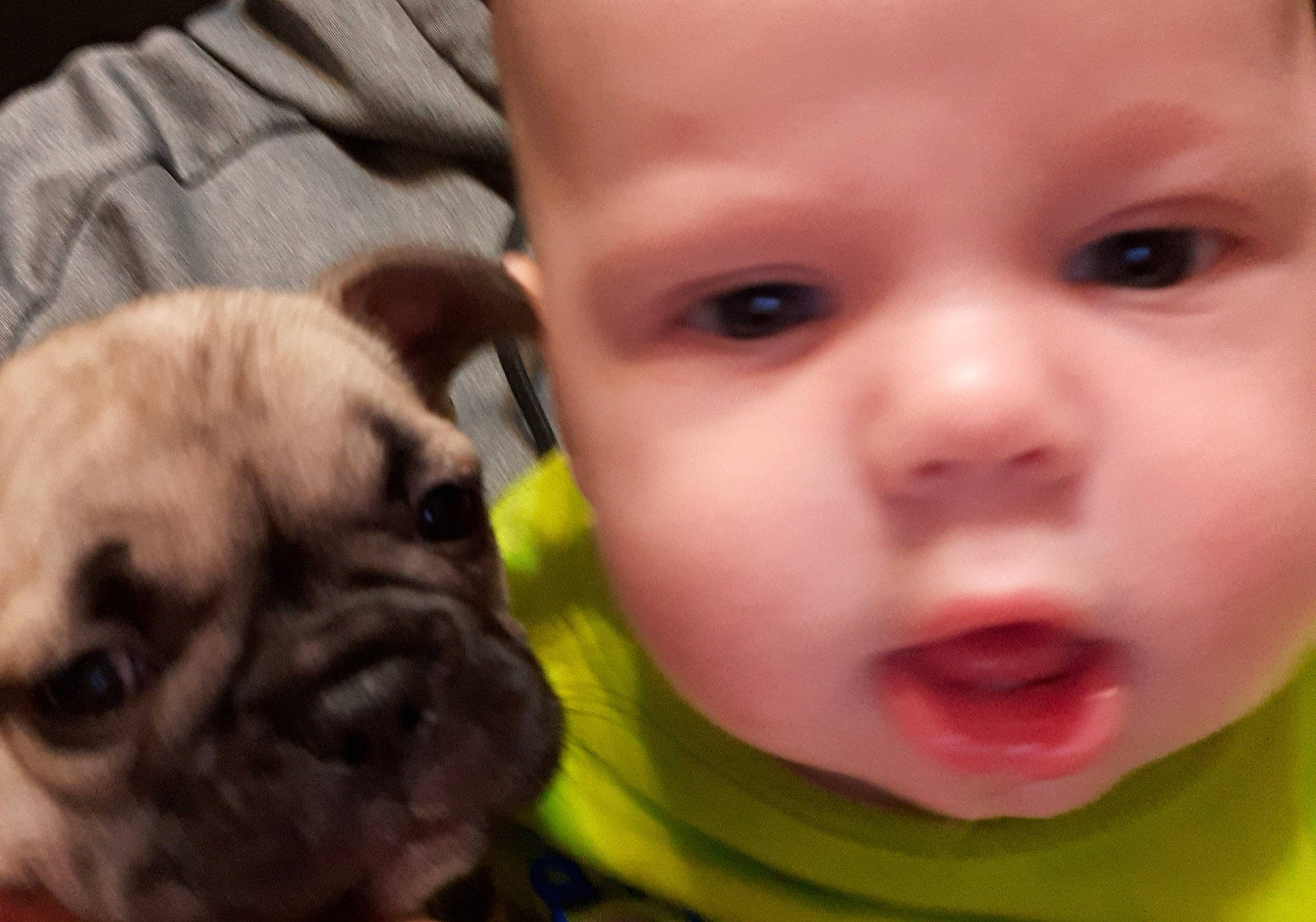 Carl joined the competition — help win amazing prizes! baby, canidae, cheek, child, chin, companion_dog, dog, dog_breed, eye, face, facial_expression, head, mouth, nose, person, pug, puppy, puppy_love, skin, snout