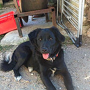 Jaya participe au concours pour gagner de l'argent avec cette photo :