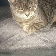 Momie a rejoint le concours — aidez-le/la à gagner de superbes lots !