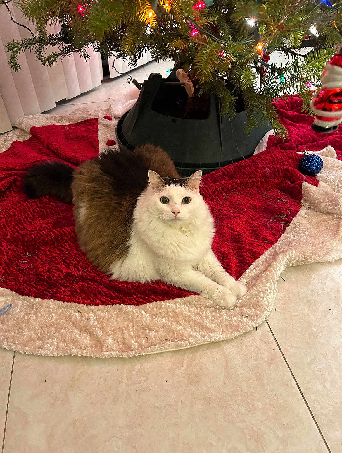 Meow Meow