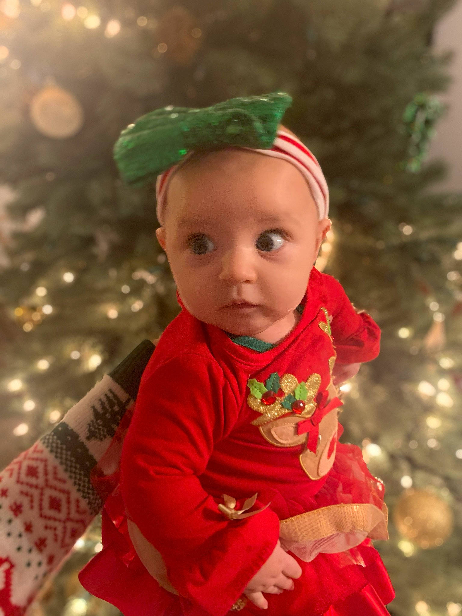 Bonnie joined the competition — help win amazing prizes! baby, child, christmas, christmas_eve, christmas_ornament, fictional_character, head, holiday, person, plant, red, smile, toddler, tradition, tree